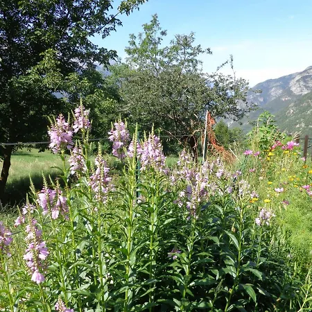 Loft Aosta Valley Lodge