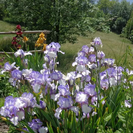 Lodge Loft Aosta Valley Saint-Vincent